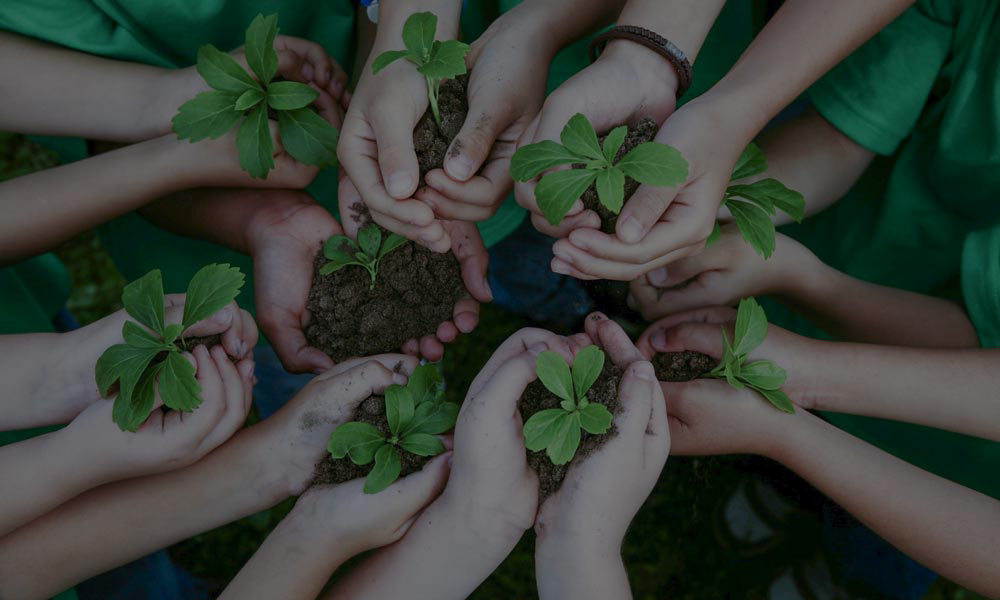 AKPM sustainability initiatives